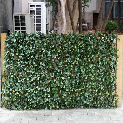 China Easily Assembled High Quality Plastic Artificial 100*200cm Hedge Willow Trellis For Privacy for sale