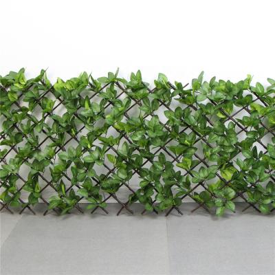 China High Quality Customized Plastic Anti-UV Artificial Hedge Easily Assembled Height Increase For Outdoor for sale