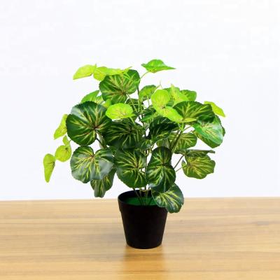 China 25pcs/ctn Real Touch 35cm Realistic Free Shipping Artificial Table Plants For For Home Gift for sale