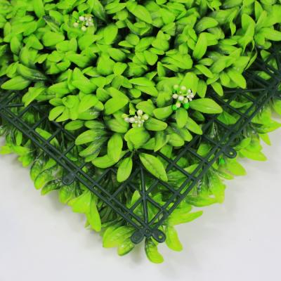 China Free Shipping Plant Sale 50x50cm Wall 12pcs/ctn Greenery With Artificial Plant Hedge for sale