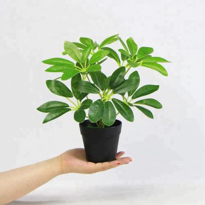 China Free Shipping Artificial Mini Potted Plants Realistic 25pcs/ctn For Party Decoration for sale