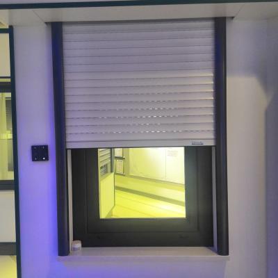 China Environmental Friendly Roll Down Window Security Shutters for sale