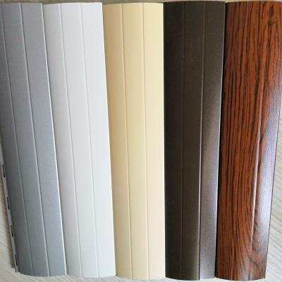 China 40mm Modern Replacement Shutter Slats Rolling Shutter Slats for sale