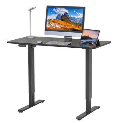 China (Size) Home Office Office Height 48 x 24 Inch Electric Sit Stand Desk Adjustable Standing Desk with Splice Panel for sale