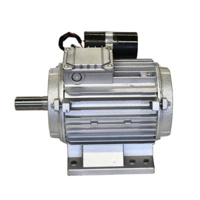 China Explosion-proof 2022 Competitive Price 220V Single-Phase Frp Fan Exhaust Fan Motor for sale