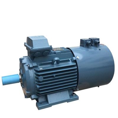 China YE3 Series 3 Phase 2 Pole Induction Motor Asynchronous Electric Motor for sale