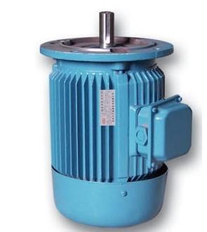 China YE3 Series 3 Phase 4 Pole Squirrel Cage Induction Motor Low Voltage for sale