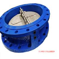 China DN50-1000 Double Flanged Butterfly Check Valve Butterfly Non Return Valve for sale