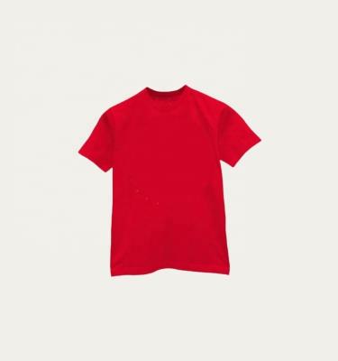 China OEM QUICK DRY High Quality Graphic Printing 100% Cotton Oversized No Logo Plain Red Fit T-Shirts Without Label Brand Unisex for sale