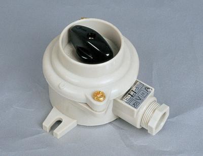 China 10A marine nylon switch HS101 HS201 HS302 HS402marine watering switch for sale