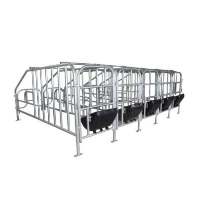 China Professional Farms Supply Standard Steel Pipe Sow Limited Position Crate Farrowing Pig Breeding Equipment for sale