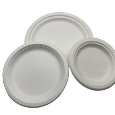 China High Quality Disposable Biodegradable Tableware Set Dishes Food Container Food Box for sale