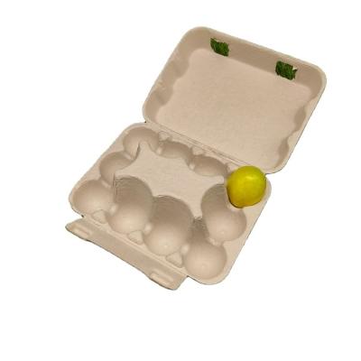 China Minimalist Compostable Egg Tray Biodegradable Paper Pulp 10 Holes Egg Containers for sale