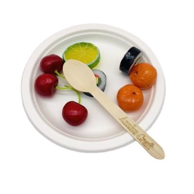 China Disposable Eco - Friendly Tableware Set Biodegradable Dish With Wooden Spoon for sale