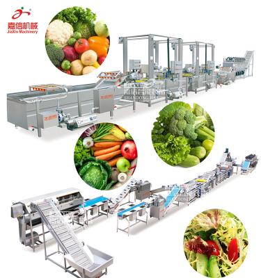 China Hot Selling Washing Cut Cabbage Fruit And Vegetable Processing Line for sale