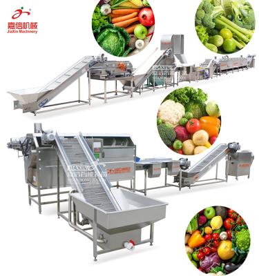 China Widely Used Fruit And Vegetable Vegetable And Fruit Processing Machine for sale