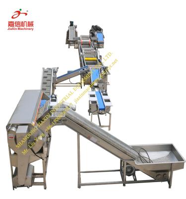 China food & Beverage Plant High Efficiency Orange Washing Drying Processing Line for sale