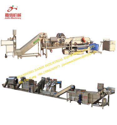 China food & Beverage Factory High Efficiency Parsley Washing Drying Processing Line for sale