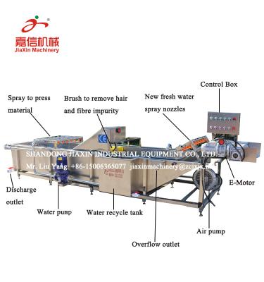 China Industrial fruit processing plant air bubble fruit and vegetable seal machine price for sale