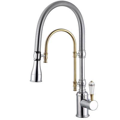 China Sanipro Design Thermostatic Faucets Wholesaler SS 304 Stainless Steel Kitchen Faucet Faucet New for sale