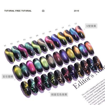 China Plot Effect 9D 12 Colors Magic Nail Gel Polish No BATO TPO & TPO-L Private Label Matching With Color Gel Nail Kit Colors for sale