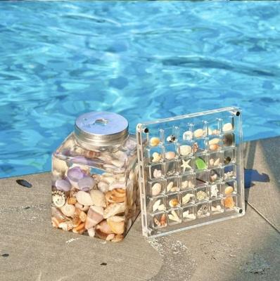 China High Transparent DIY Magnetic Seashell Collection Clear Acrylic Display Case For Travelling for sale