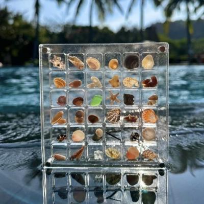 China New Design Magnetic Seashell Specimen Acrylic Display Box For Jewelry Storage Box for sale