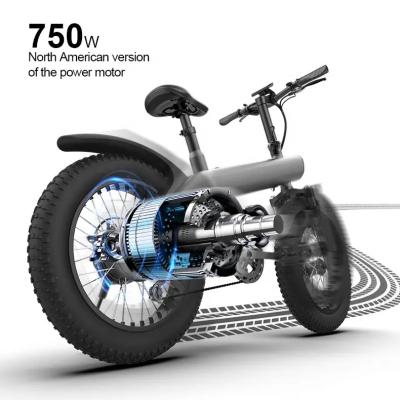 China NEW Q3 48V 750W 7.8Ah 20inch Foldable Ebike Speeds Aluminum Alloy 7 Tire Fat Electric Bicycle Folding Electric Bike for sale