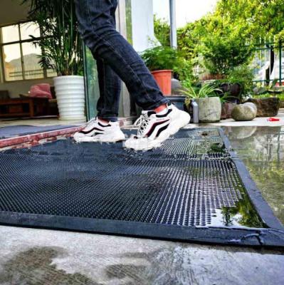 China Modern Rubber Unique Antibacterial Disinfectant Sanitized Floor Mat Cleaner Home Shoe Cleaning Set Door Mat for sale