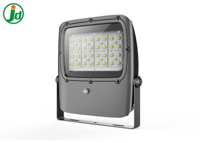 China 276VAC Ip66 Die Cast Aluminum High Mast LED Flood Light for sale