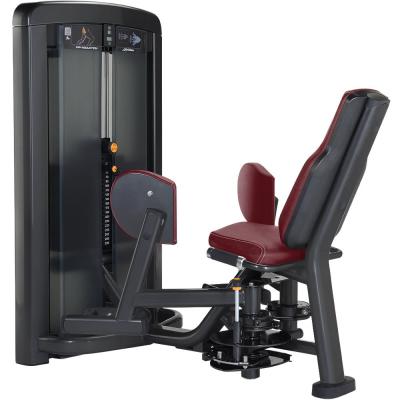 China Universal Abdominal Fitness Equipment Dual Station Jinggong Workout Back Machine for sale