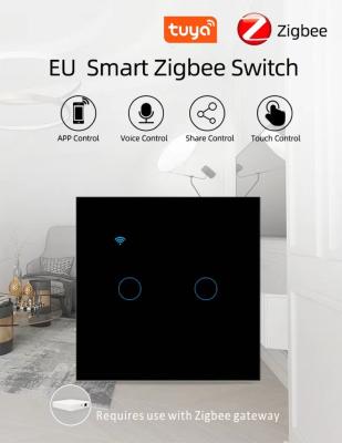 China 240V Smart Zigbee Switch Zigbee Hubs 2 Gang APP Control Remote Light Switch for sale