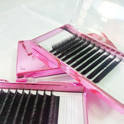 China Professional Eyelash Extension Sensitive D Kits Eyelash Extension Bonder Kits Set Eyelash Extension Tools Professional Handmade Fluffy for sale