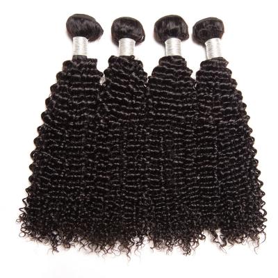 China Can be dyed peruca afro dyed perruq perruq wig factory supply hair extension natural wig popular afro curly jerry brazilian direct wig for sale