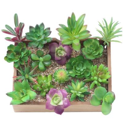 China Wholesale Minimalist Plant Home Decor Outdoor Green Flocking Artificial Succulent Plant for sale