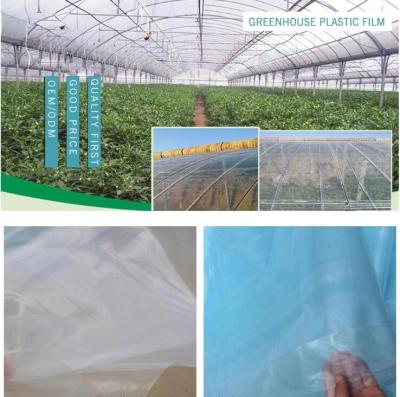 China Estire la película del ensilaje del uso LLDPE de la película/el abrigo de empaquetado parecidos a la película y agrícolas de la bala plástico/plástico del ensilaje en venta