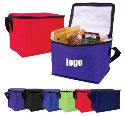 China Frozen Food Insulated Cooler Bag Food Delivery, Sturdy Zipper, Foldable, Washable, Heavy Duty, Stands Upright, Completel for sale