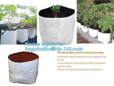 China Bolsos enormes durables del plantador del árbol del polietileno, bolsos crecientes resistentes, plástico blanco negro estabilizado ULTRAVIOLETA eficaz Growin en venta