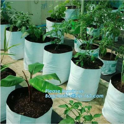 China Drene el color Bolso-blanco cada vez mayor crecen al plantador crudo de Bags-100%Virgin PE empaqueta grueso de -25Gallon 150Microns que planta el bolso, PAC en venta