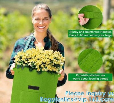 China Potato Grow Bags, Plant Grow Bags Garden Container Heavy Duty Aeration Fabric Pots Thickened Nonwoven Fabric Grow for sale