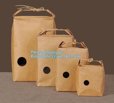 China bolsa de papel de empaquetado de la comida de Kraft del marrón del bolso del papel de Kraft del paquete del arroz 1kg, bolso del envase de plástico del bolso del arroz 5kg10kg para el arroz, la Florida en venta