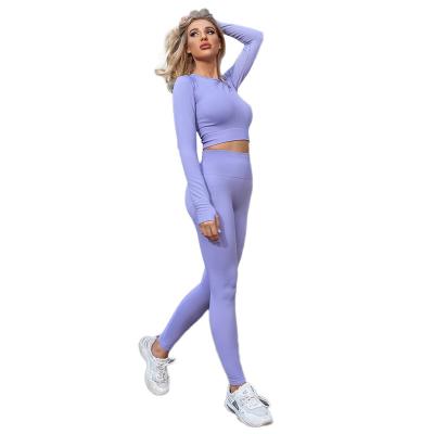 China BZZJO breathable gym wear workout sets repve activewear seamless repve activewear for women for sale