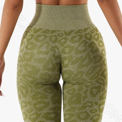 China Leopard Print Pants Gaiters Summer Fitness Workout Breathable Yoga Pants Women Sportswear Gaiters Pour Women for sale