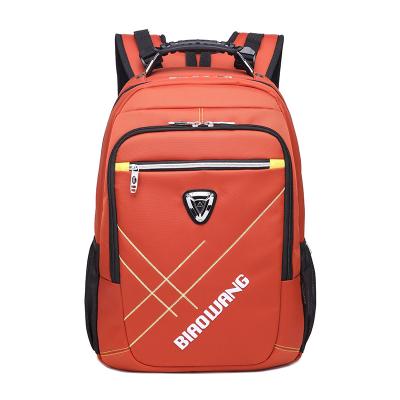 China New Stain Biaowang outdoor sports travel male nylon backpack waterproof business casual backpack to work shopping bag for sale