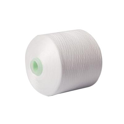 China Factory Price Wholesale 100D/300D Polyester Anti-bacteria High Elastic 100% Dty Yarn for sale