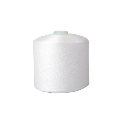 China Anti-bacteria factory direct sale 100D/300D polyester dty yarn for sale