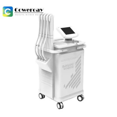 Cina 1060nm Diode Body Slimming Laser Machine, Laser Lipo Slimming Machine. in vendita