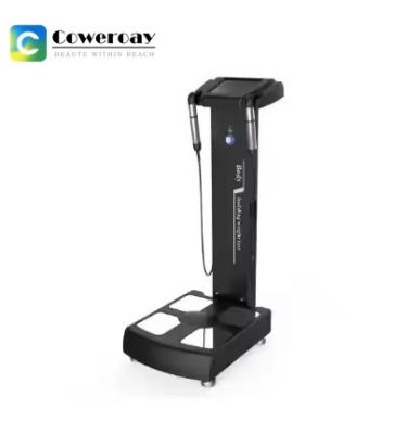 China Scale Body Fat Analyzer Machine 3D Body Composition Analysis Machine for sale