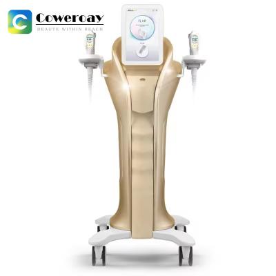 China Multifunktionale Mini-HIFU Ultraschallmaschine Anti-Aging Haut Straffung HIFU-Maschine zu verkaufen