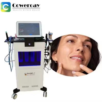 China Ldm Triple Frequency Physiotherapy Equipment Eliminating Local Acne for sale